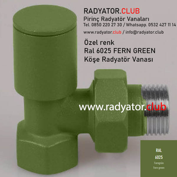 Ral 6025 fern green angled radiator valves