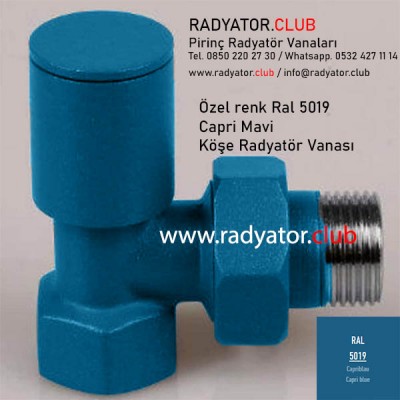 Ral 5019 Özel Renk Dekoratif Köşe Radyatör Vanası Ral 5019 Özel Renk Dekoratif Köşe Radyatör Vanası