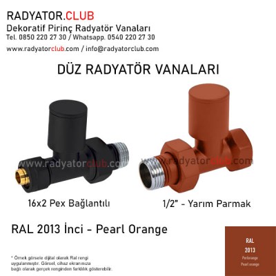 1/2 Parmak Ral 2013 Duz  Radyator Vanasi 1/2 Parmak Ral 2013 Duz  Radyator Vanasi
