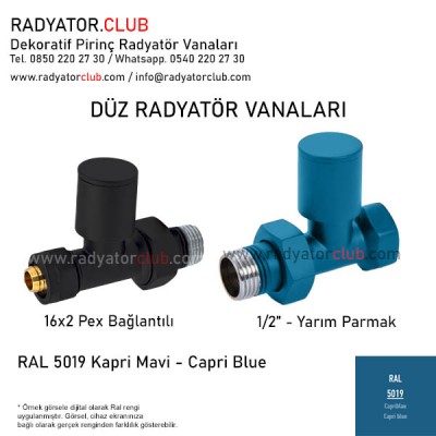 1/2 Parmak Ral 5019 Ozel Renk Duz Radyator Vanasi 1/2 Parmak Ral 5019 Ozel Renk Duz Radyator Vanasi