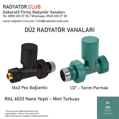16x2 Pex Ral 6033 Turquoise Straight Round Radiator Valves 16x2 Pex Ral 6033 Turquoise Straight Round Radiator Valves