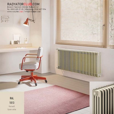 Tesi 4 Çelik Kolon Radyatör H.1000, ral-1013, Kolon 10