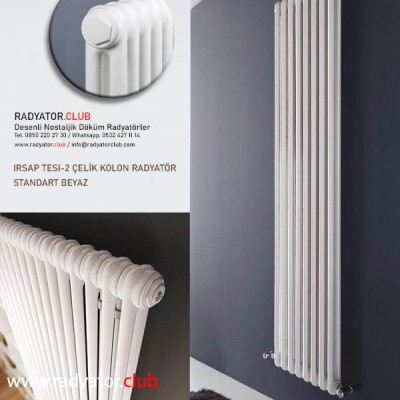 tesi-2-celik-kolon-radyator-h-1000-beyaz-kolon-15